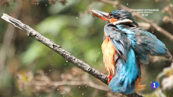 Aquí la Tierra - Aquí la Tierra - 18/05/15