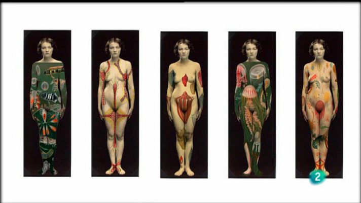 La aventura del Saber - Boek Visual. Isidora Bailly