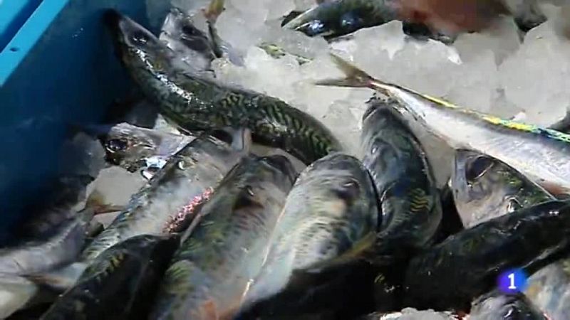 Los pescadores de Gran Canaria defienden que sus capturas no están contaminadas por el fuel del barco ruso