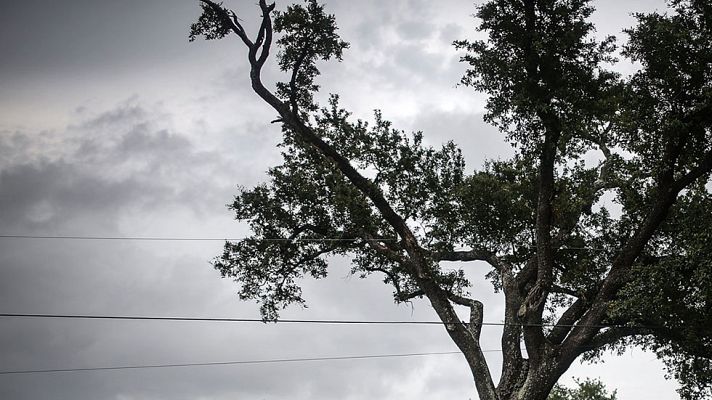 El tiempo - Nuboso en el Cantábrico oriental y Pirineo occidental