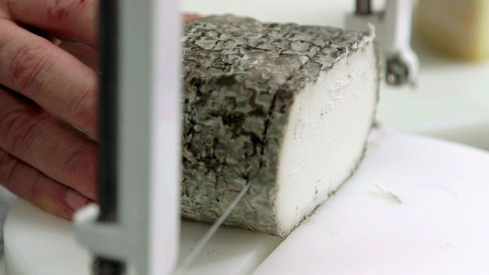 Seguimos la pista a un alimento milenario