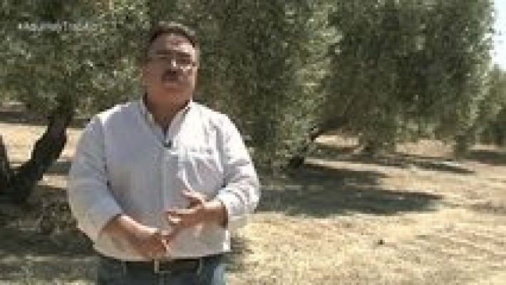 Aquí hay trabajo - Aquí hay trabajo - 22/05/15