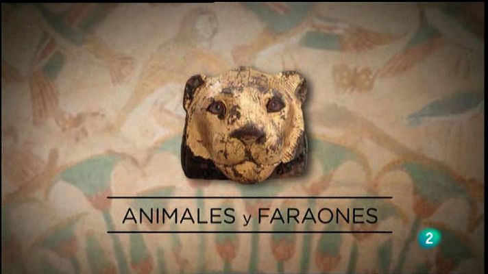 Para todos La 2 - Vídeo - Animales y Faraones