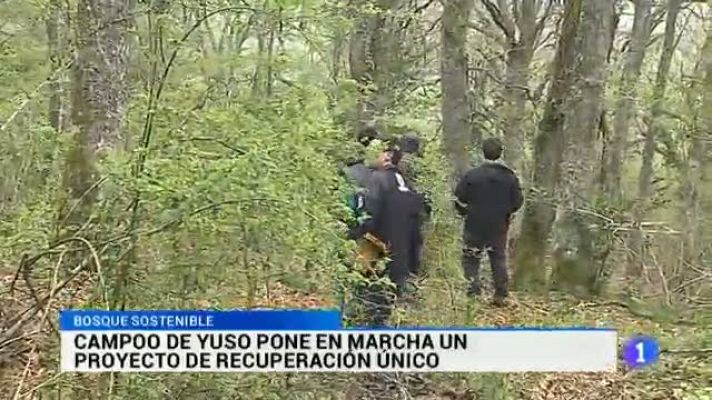 TeleCantabria - Telecantabria - 22/05/15