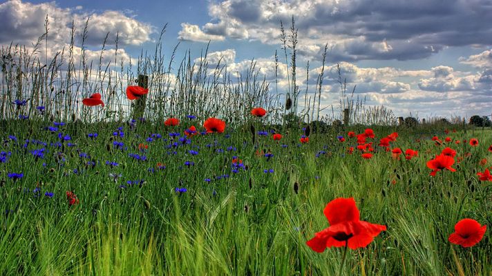 El tiempo - Continúa el viento fuerte en Galicia, Ampurdán, Estrecho y Canarias