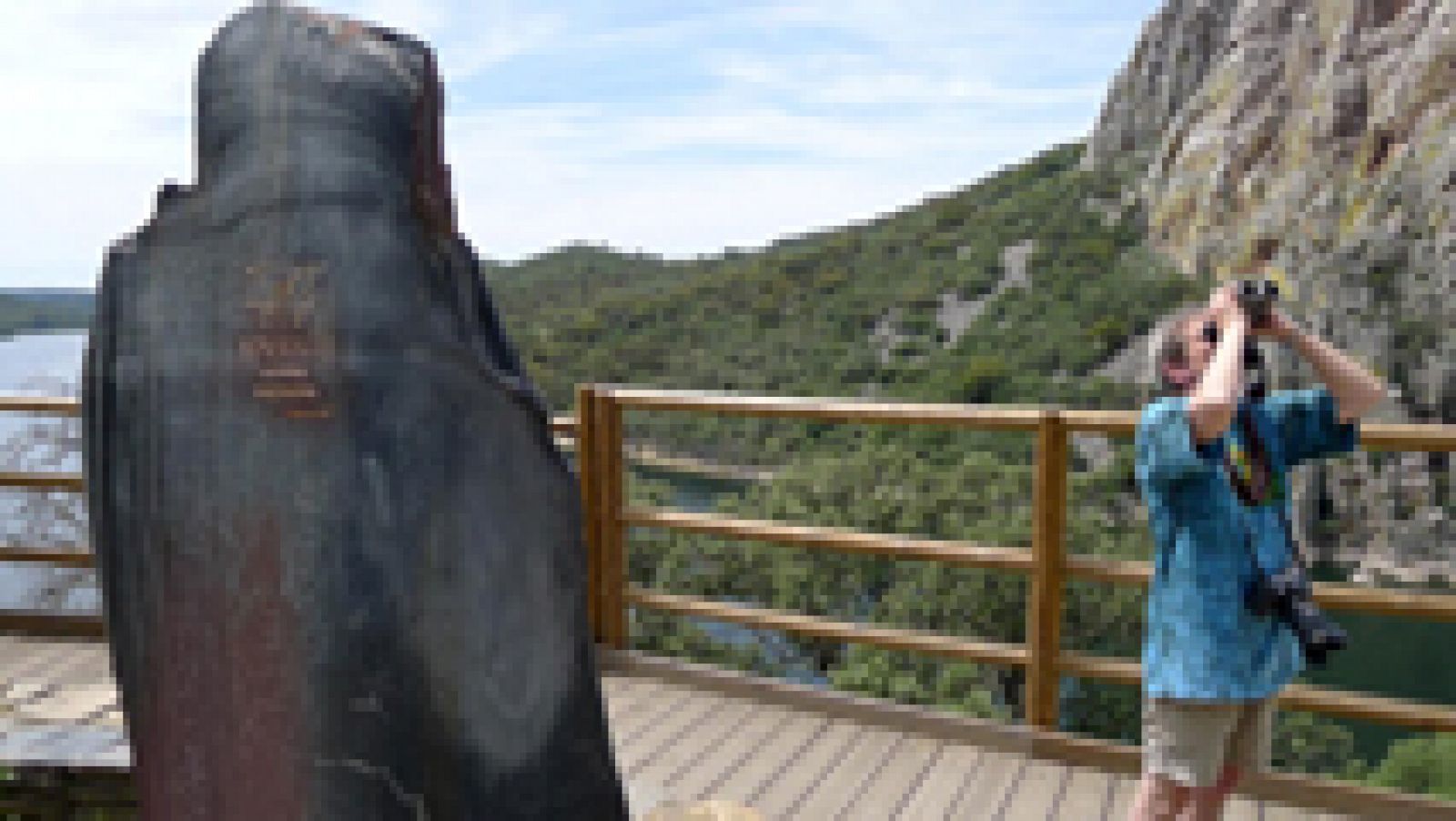 Excursión a Monfragüe con cigüeña negra incluída
