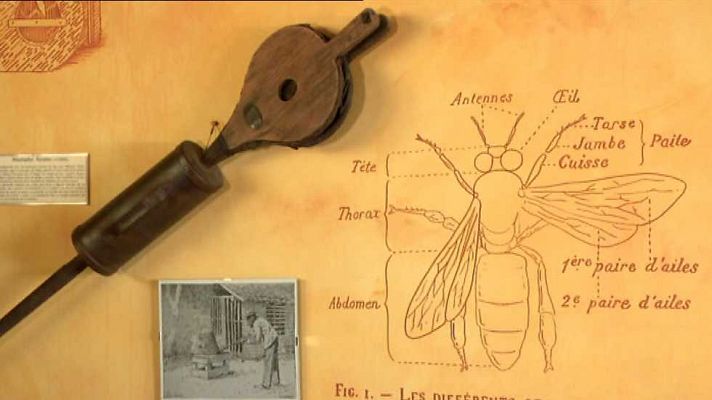 Agrosfera - Agrosfera - 23/05/15