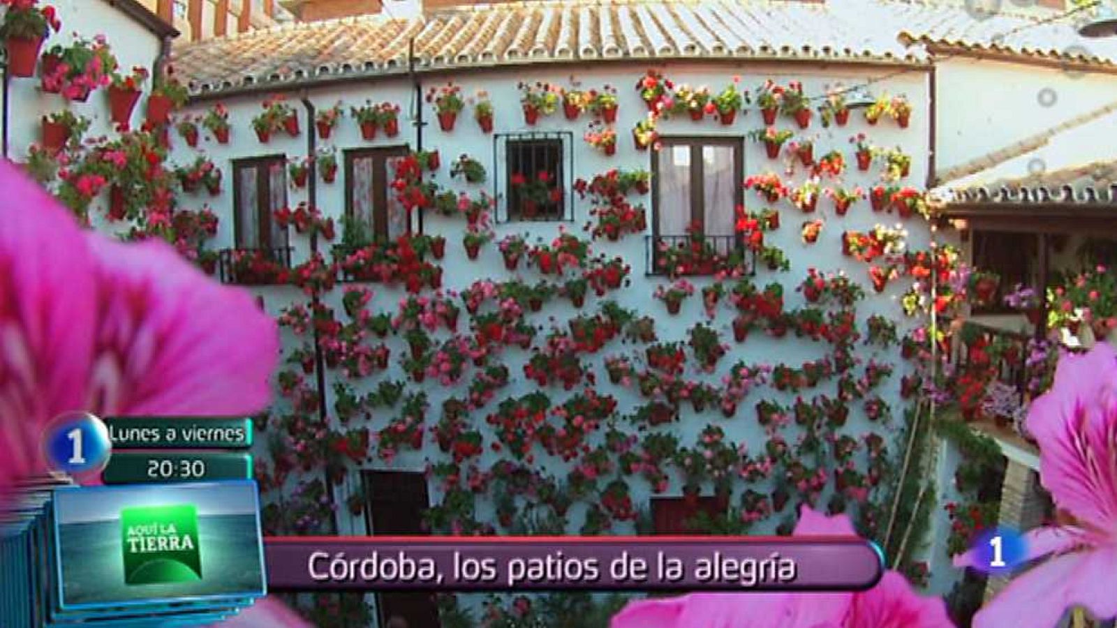 Lo que hay que ver - 24/05/15 - ver ahora