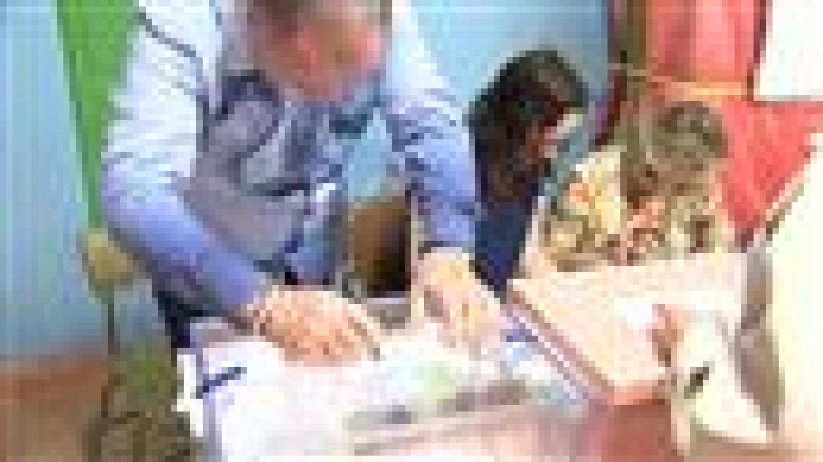 Canarias en 2' - 24/05/15 | Ver