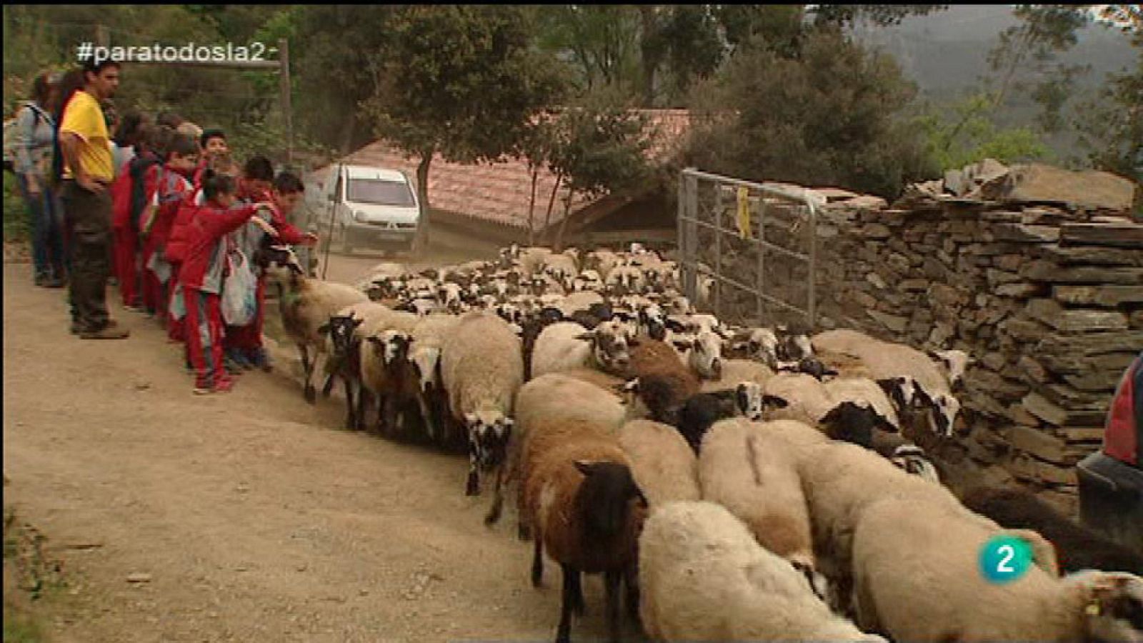 Para Todos La 2 - Vídeo - Instinto de pastor