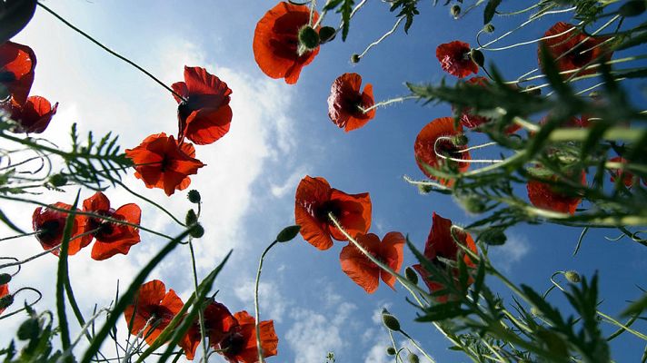 El tiempo - Intervalos de viento fuerte en zonas del nordeste peninsular, Menorca y litoral de Galicia
