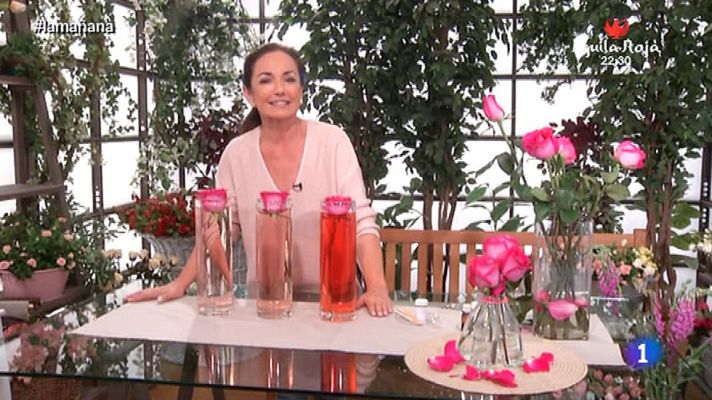 La mañana - El arte de decorar con rosas