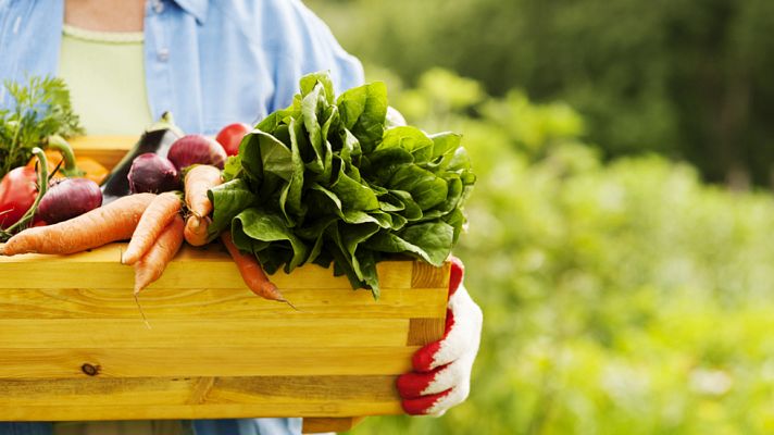 La mañana - Día Nacional de la Nutrición