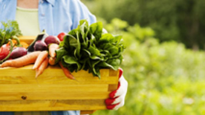 La mañana - Día Nacional de la Nutrición