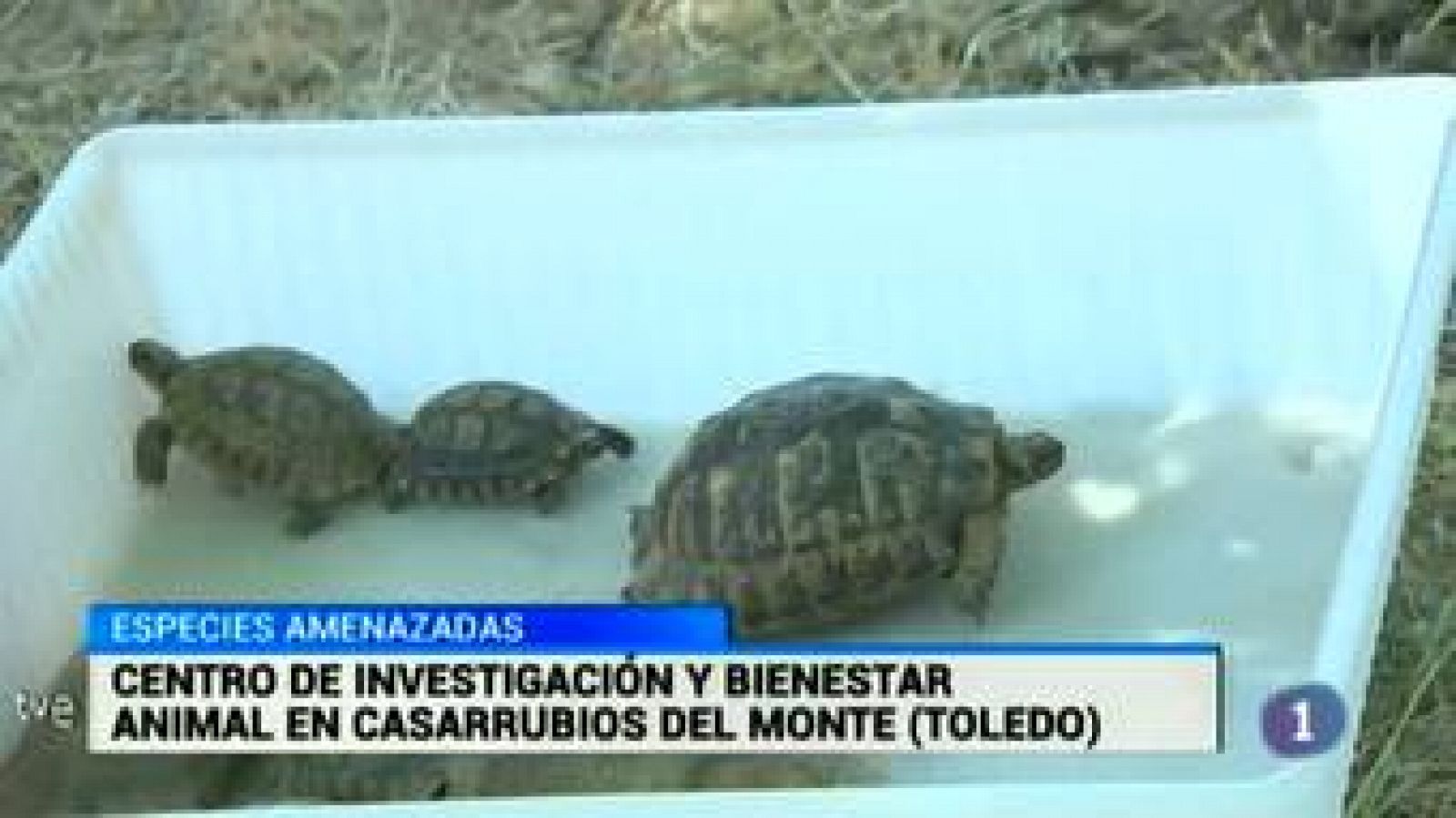 Castilla-La Mancha en 2' - 28/05/15 | Ver