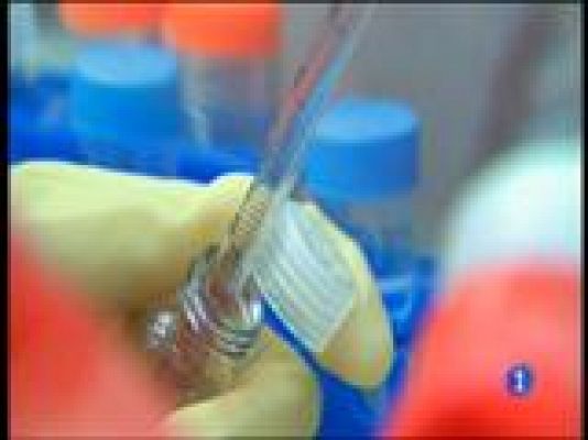 Panorama Regional - Panorama Regional 2 - 28/05/15