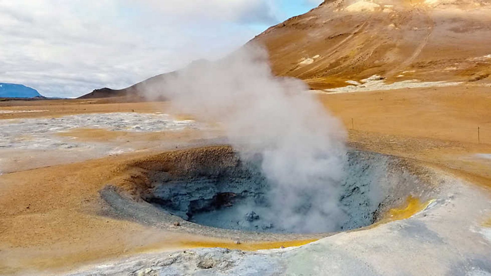 Documenta2 - Construir el futuro: La savia de la tierra