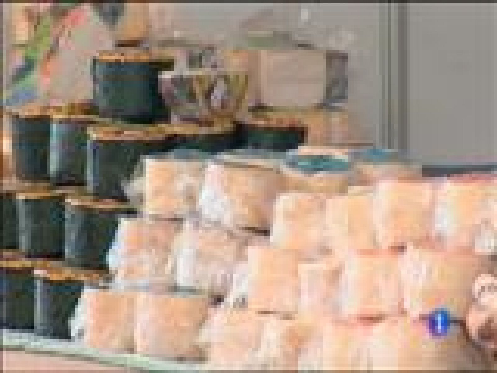 Panorama Regional 2 - 29/05/15 | Ver