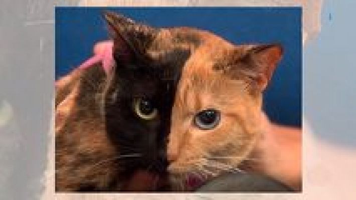 Aquí la Tierra - Aquí la Tierra - 29/05/15