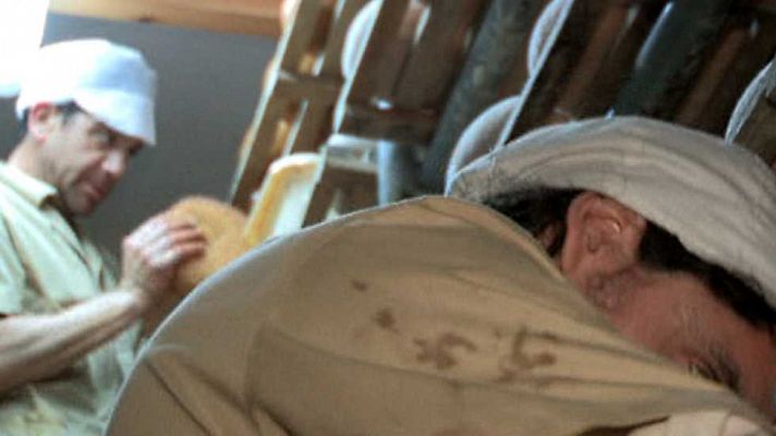 Agrosfera - Agrosfera - 30/05/15