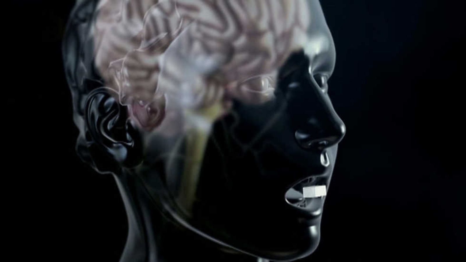 La noche temática - Sobredosis de azúcar - ver ahora