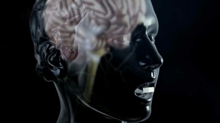 La noche temática - Sobredosis de azúcar