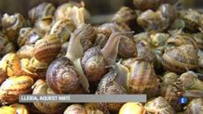 L'Informatiu - XXXVI edició de l'Aplec del Caragol de LLeida