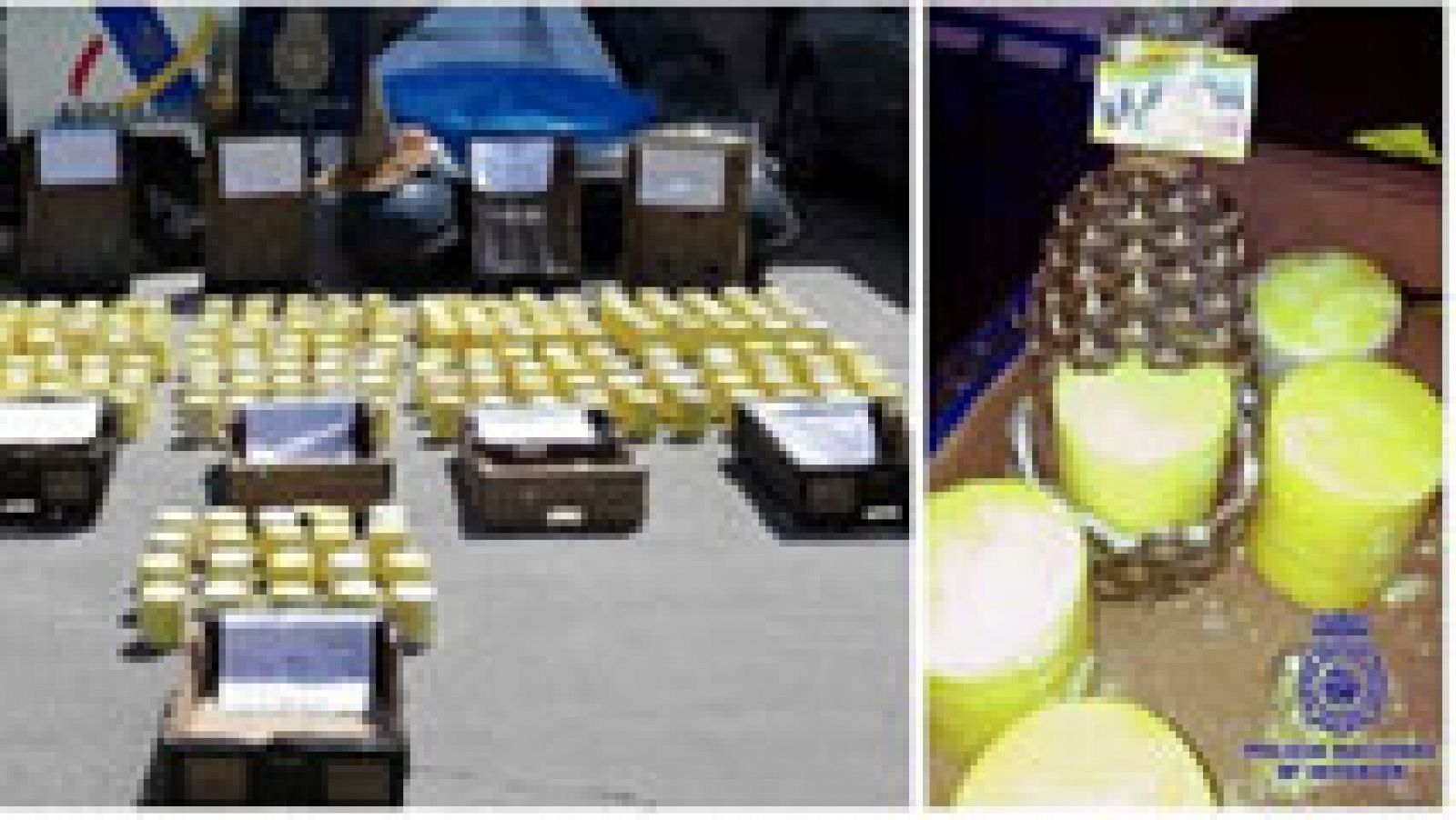 Utilizan piñas frescas para introducir en España 200 kilos de cocaína
