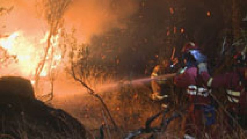 El año pasado se produjeron en España 9.754 incendios forestales