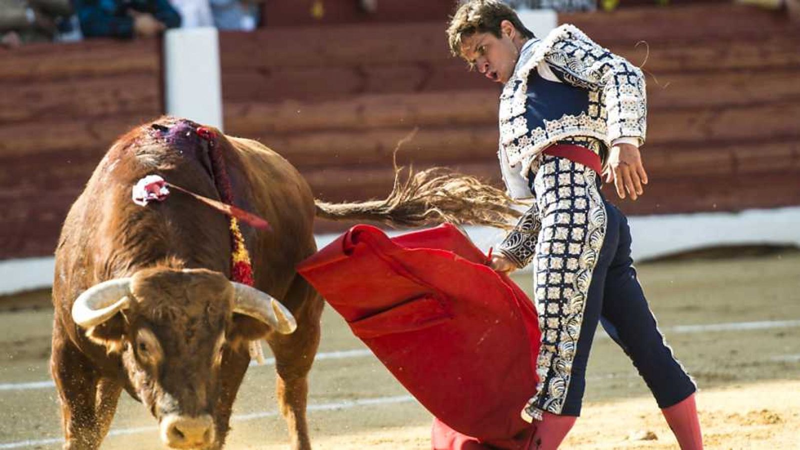 Corrida solidaria contra el cáncer infantil. Desde Cáceres - ver ahora