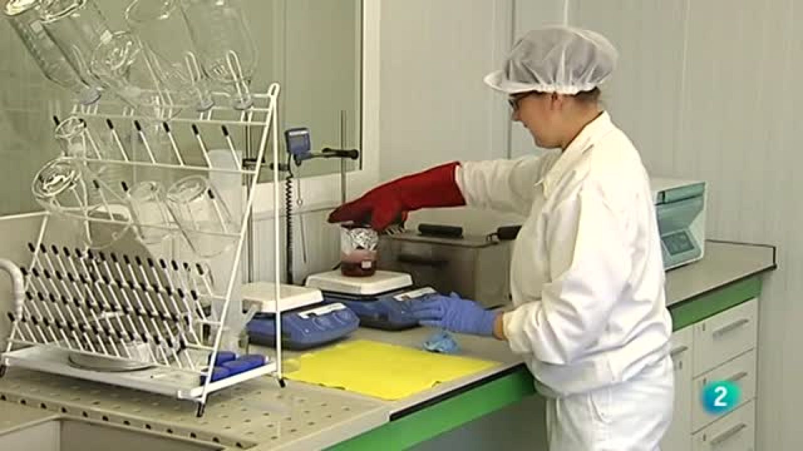 Agrosfera - Con mucho gusto - Aloe vera para alimentacion