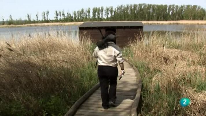 Agrosfera - Agrosfera - En clave rural - Toro, Zamora