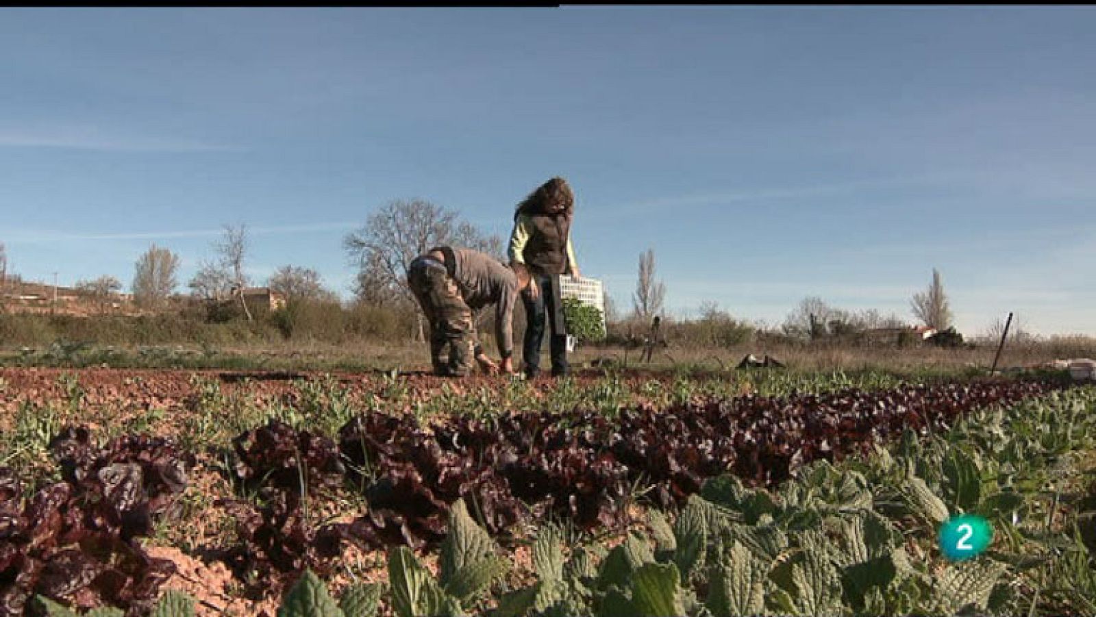 La Aventura del Saber. Nalda, comunidad cuidadora