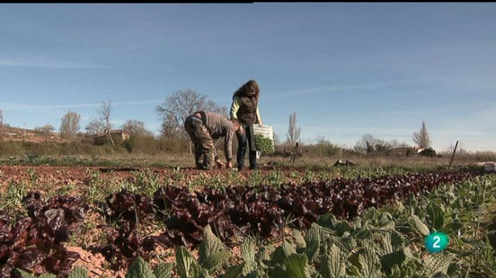 La aventura del Saber - Nalda, comunidad cuidadora