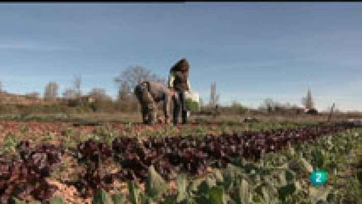 La aventura del Saber - Nalda, comunidad cuidadora