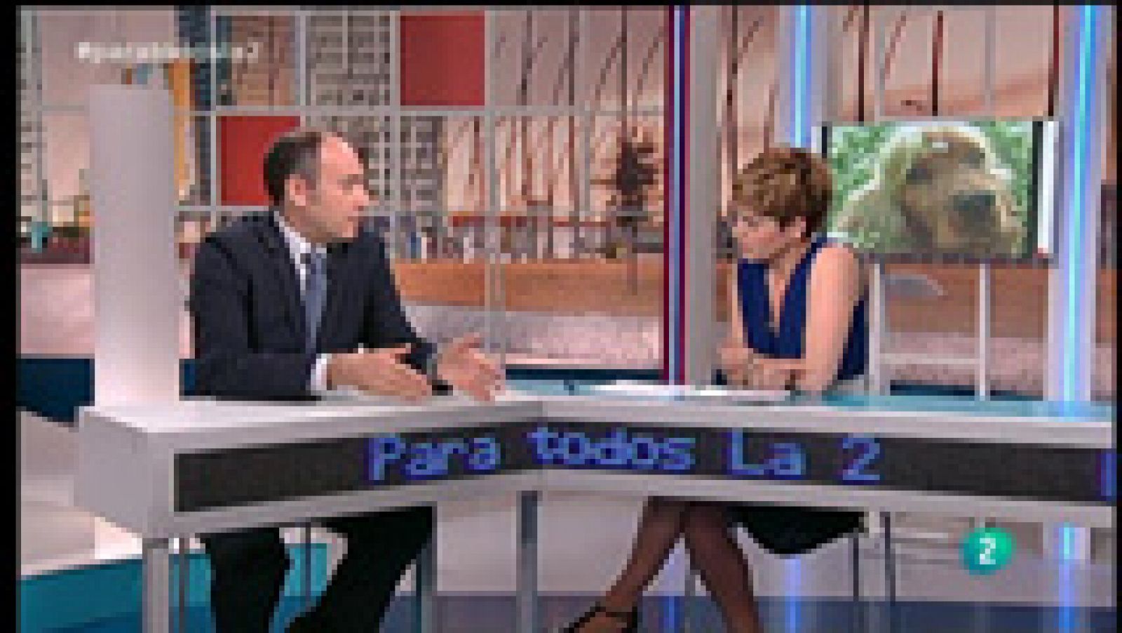 Para Todos La 2 - Consumo - Animales domésticos