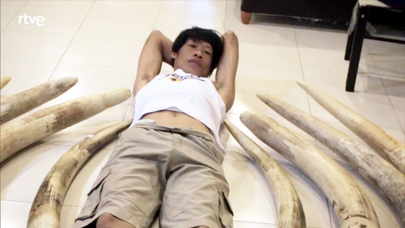 La Noche Temática - Invertir en la extinción - Comienzo - La noche temática | Ver