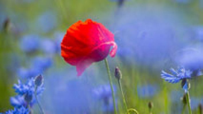 Informativo de Madrid - El Tiempo en la Comunidad de Madrid - 03/06/15