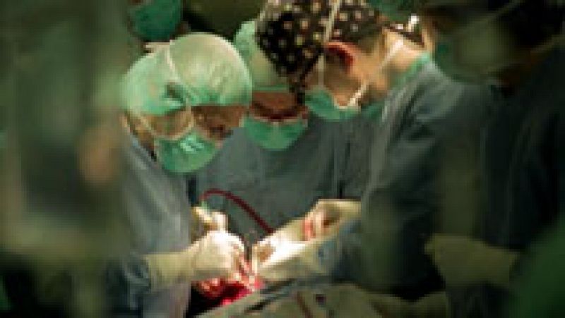 Crecen un 13% los transplantes en España en lo que va de año