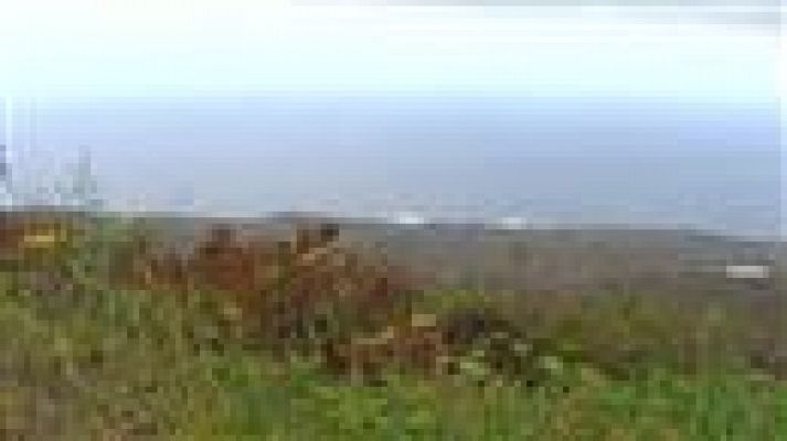 Telecanarias - El tiempo en Canarias - 05/06/15