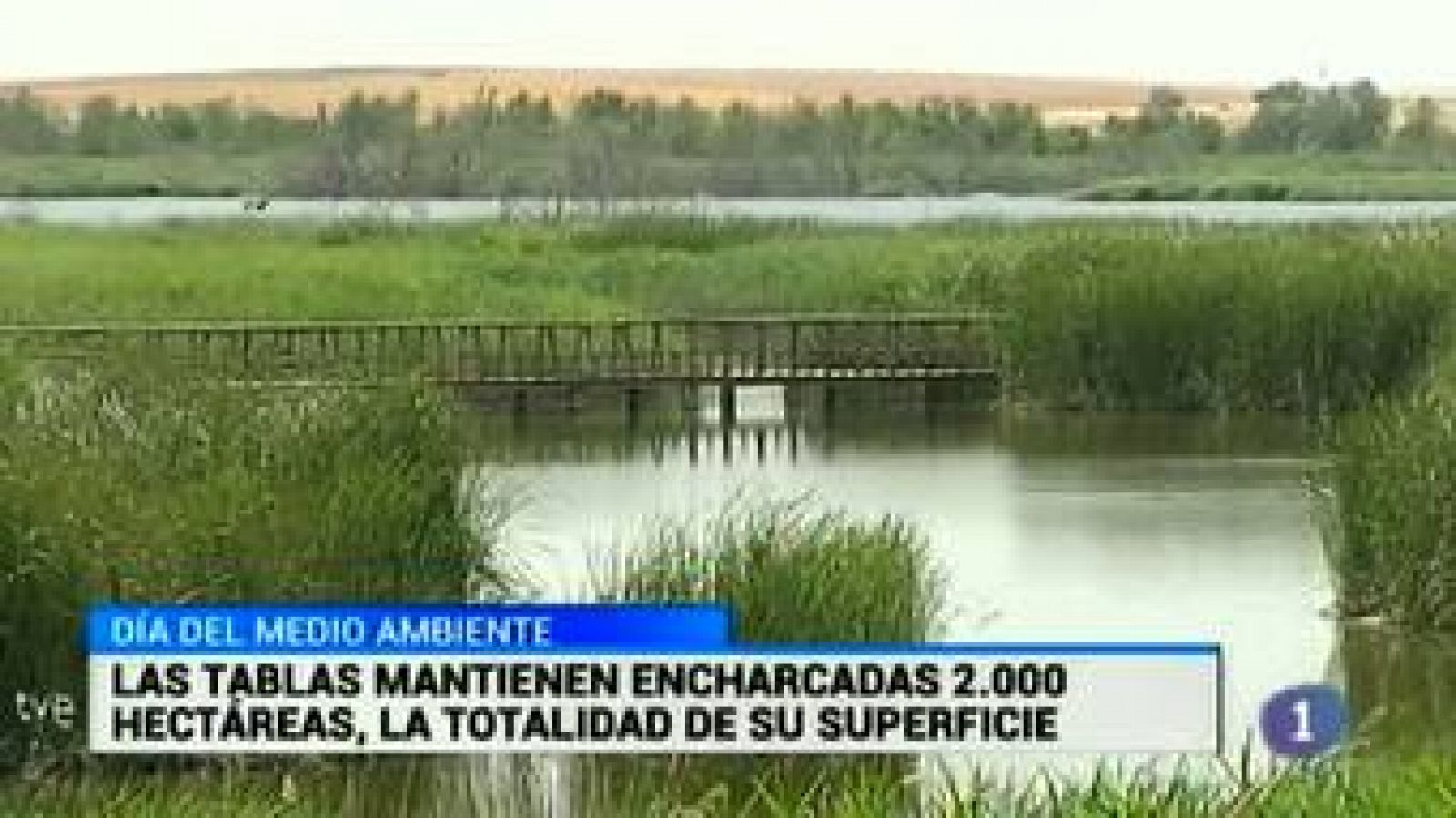 Noticias de Castilla-La Mancha: Castilla-La Mancha en 2' - 05/06/15 | RTVE Play