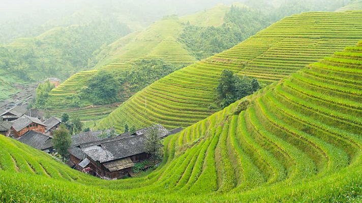 Patrimonio de la humanidad: arrozales en la Cordillera