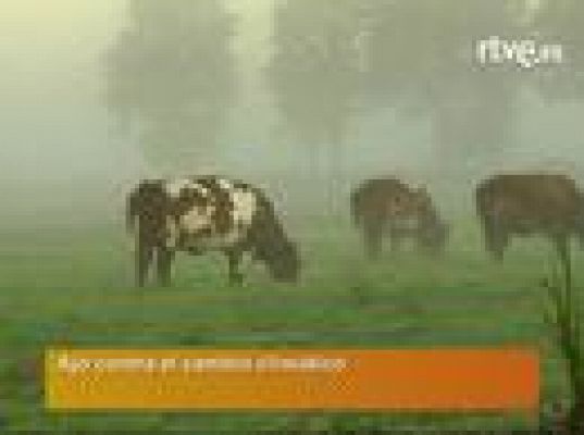  - Ajo contra el cambio climático