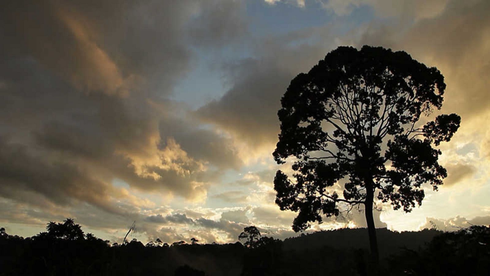 La noche temática - Bancarizar la Naturaleza