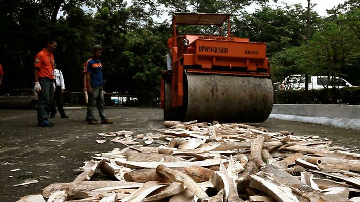 La noche temática - Invertir en la extinción