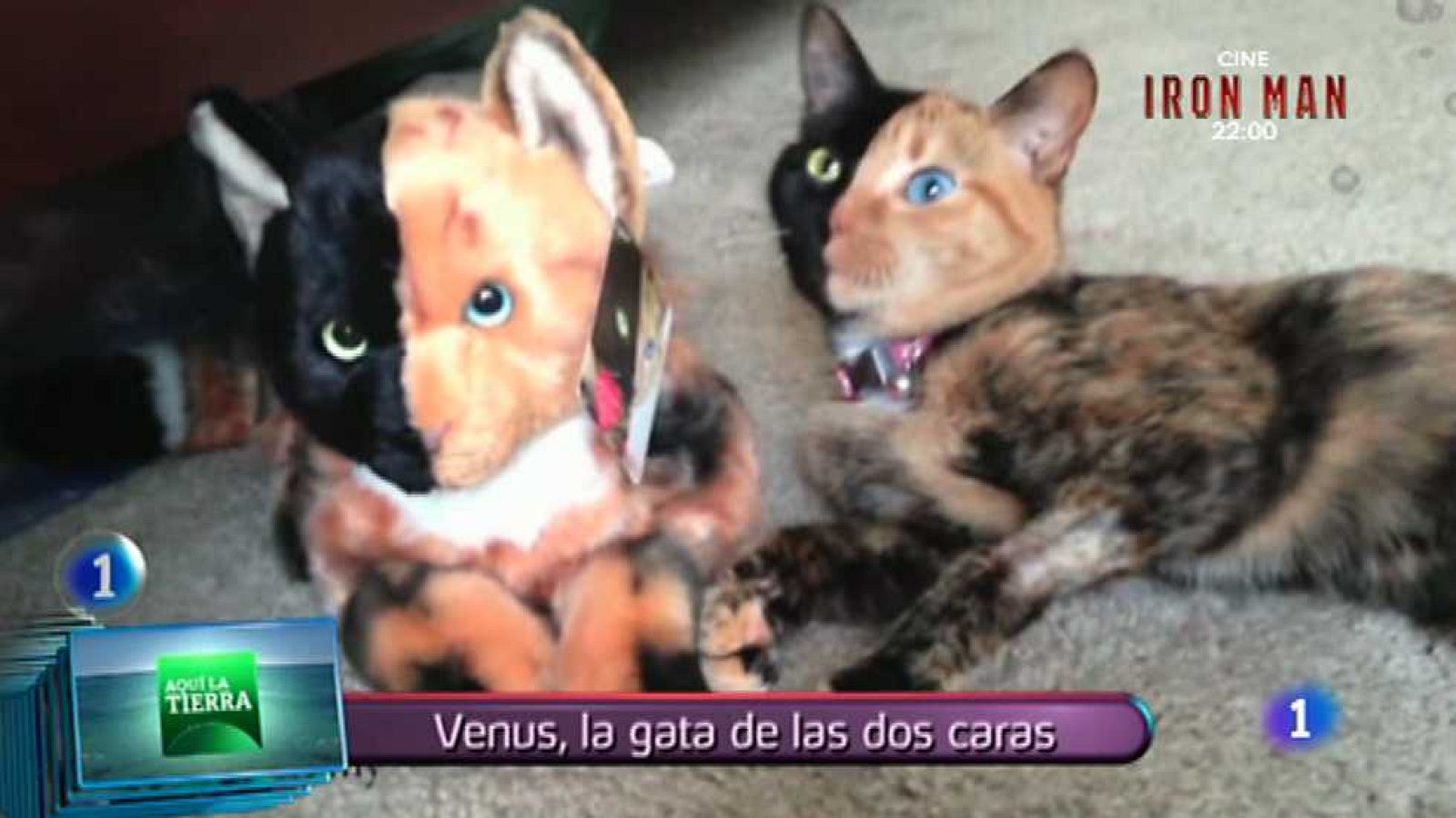 Lo que hay que ver - 07/06/15 - Ver ahora