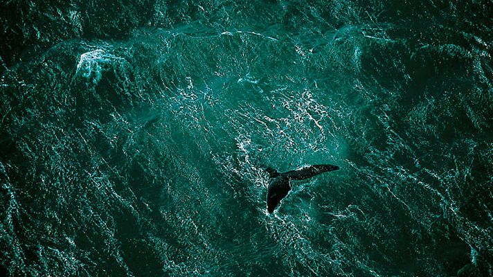 Documaster - Home: Historia de un viaje (1ª parte)