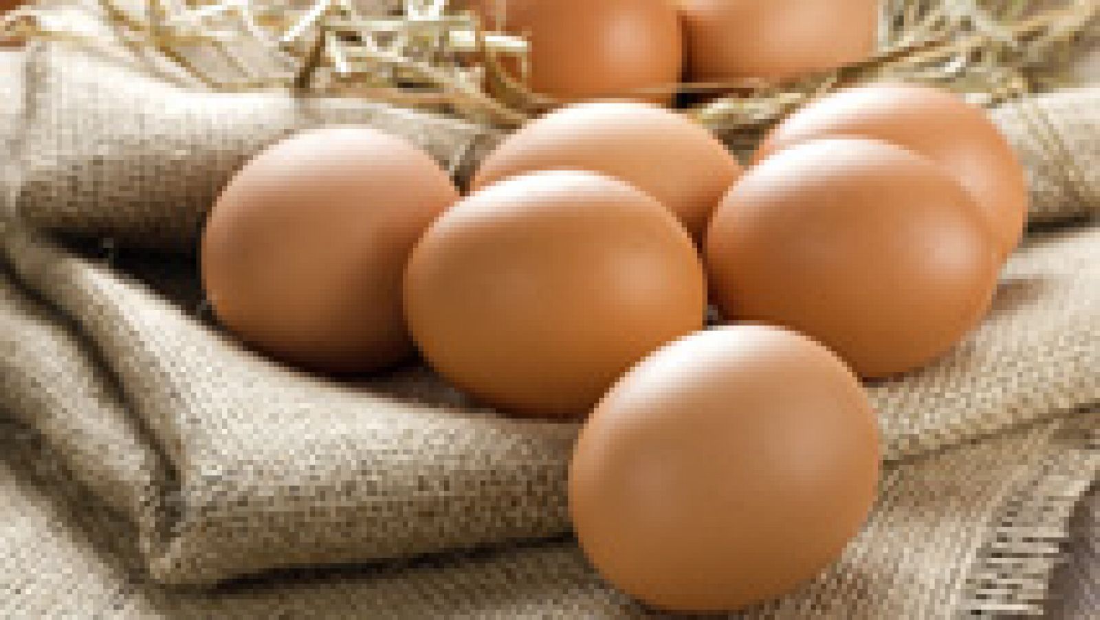 Telediario 1: Comemos más huevos morenos pensando que son "de campo"... y es mentira | RTVE Play