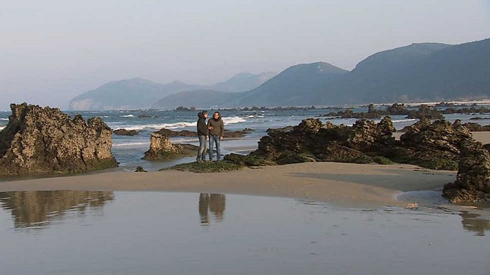 Cocina2 - Cantabria: la nécora