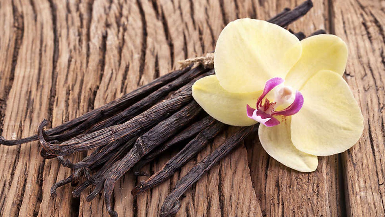 Documenta2 - La ruta de las especias: Azafrán y vainilla - Ver ahora